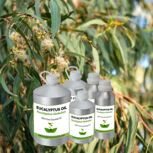 Eucalyptus Oil 40 M