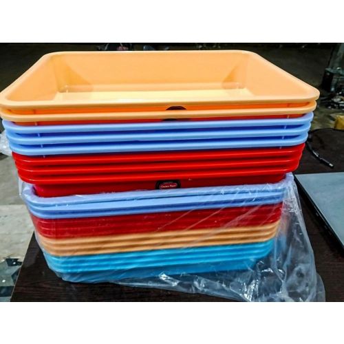 Chetan Tray 12