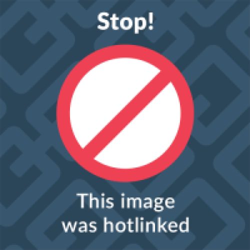 Conchiglie 500 G